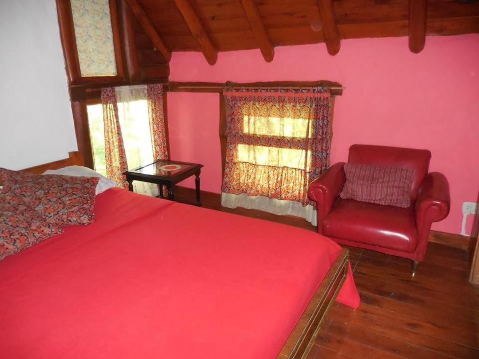 Cabanas Rupel A 3 Cuadras Del Mar Balneario Mar Azul エクステリア 写真